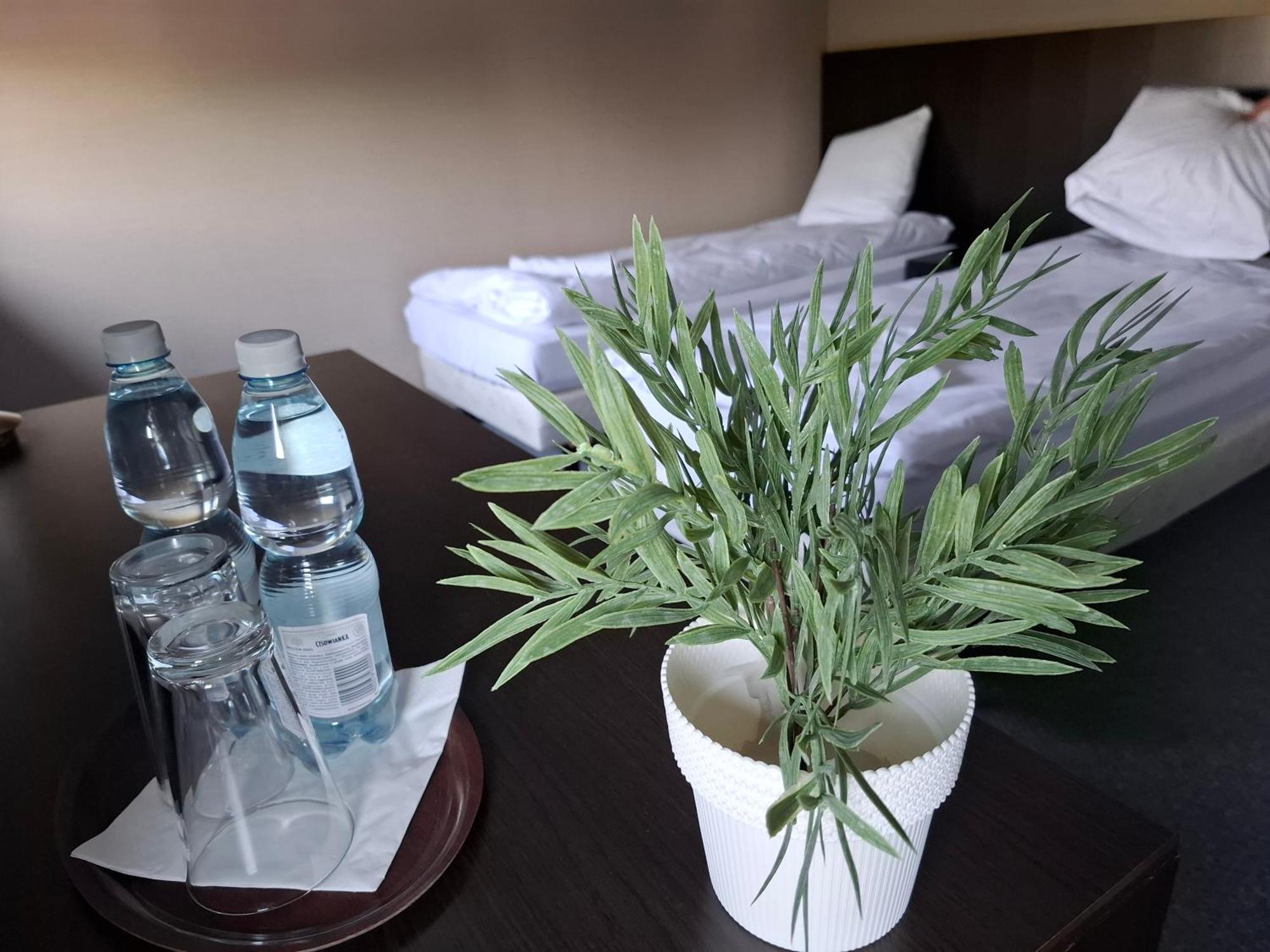 Kogel Mogel Hotel Czernikowo Bagian luar foto
